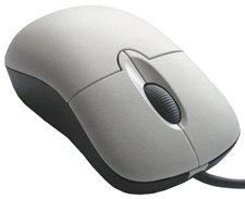 mouse